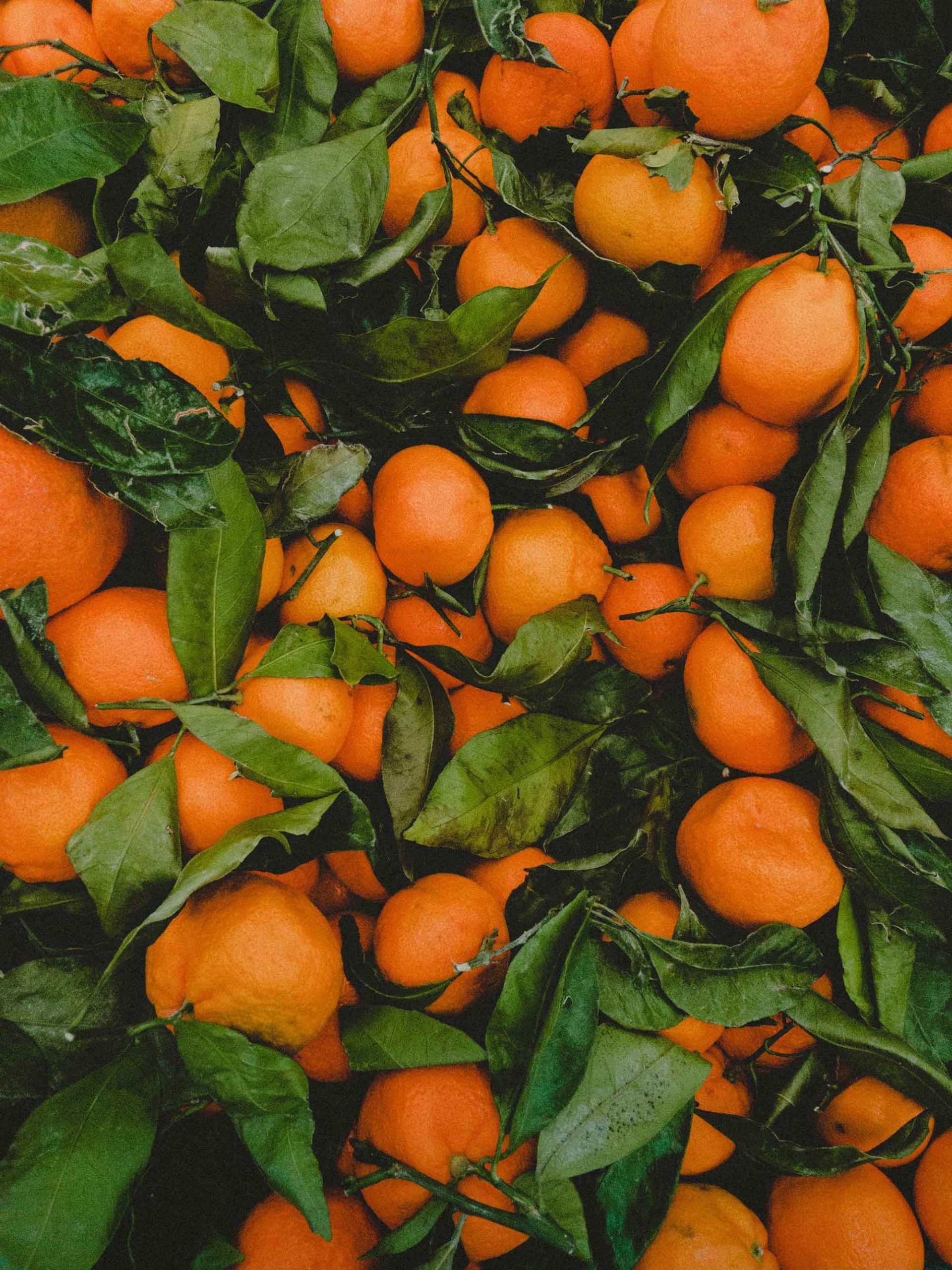 KC-oranges oranges