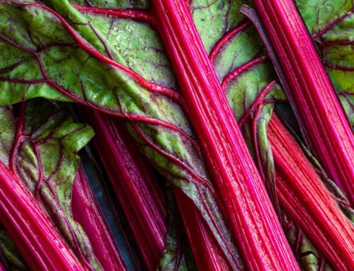 Selecting Food Waste KPIs