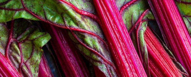 rhubarb