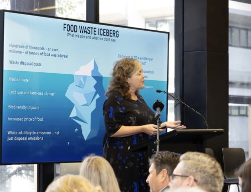 PMCSA report urges broader focus beyond household food waste