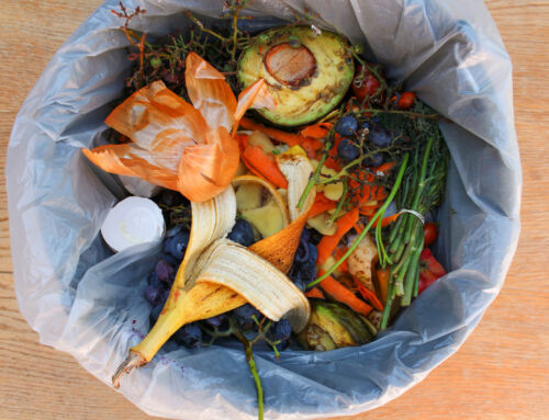 Call for inquiry into school lunch programme to include food waste