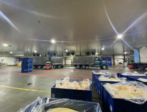 Fonterra: Turning passion into progress