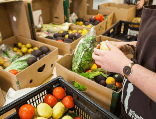 Woolworths: Streamlining food waste diversion