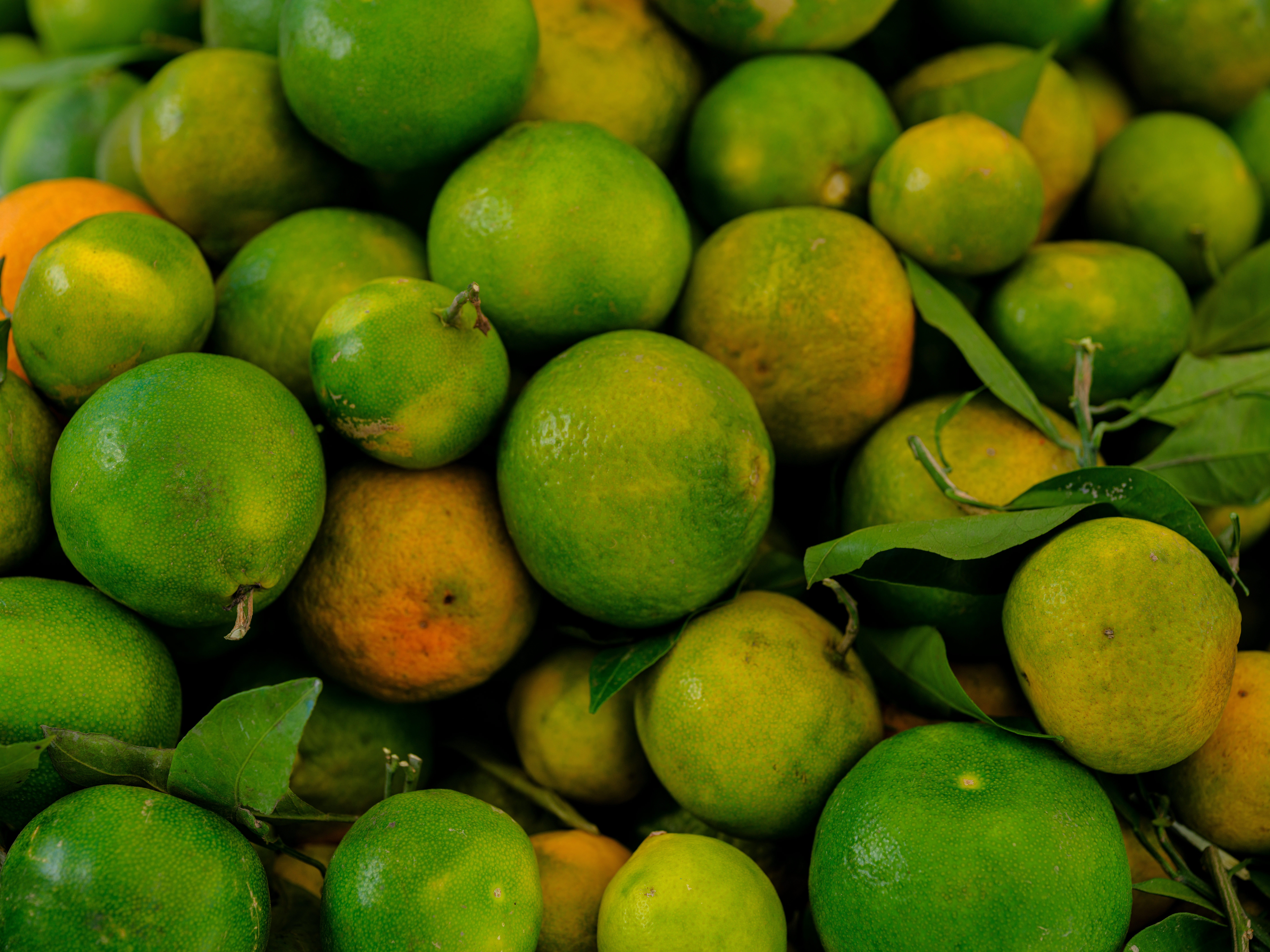 engin-akyurt-OzXST_oMgF0-unsplash