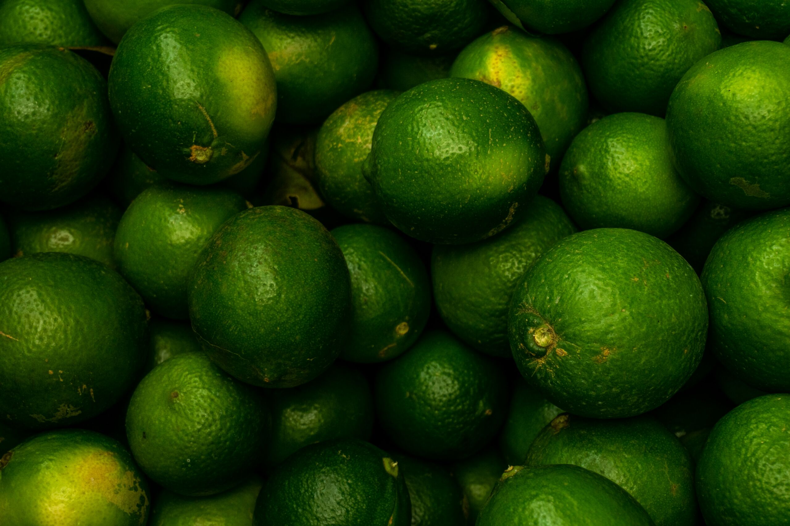 sergio-aguirre-apLVGnl2pjQ-unsplash