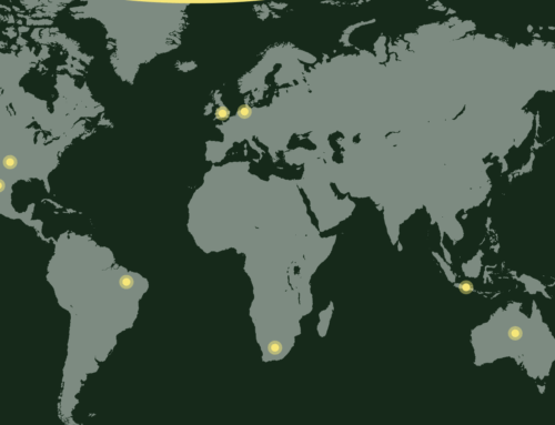Global Food Pact Network slashes food waste and emissions – calls for government, philanthropic and business support.