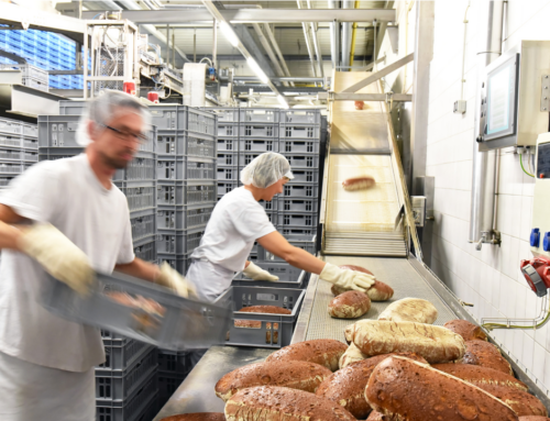 New data shows NZ food businesses cutting food waste costs and emissions